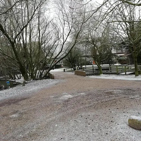 Charming With Swimming Pool In Quend