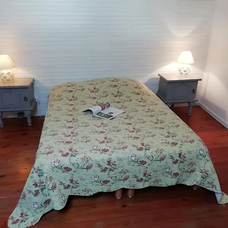 Charming With Swimming Pool In Chalet