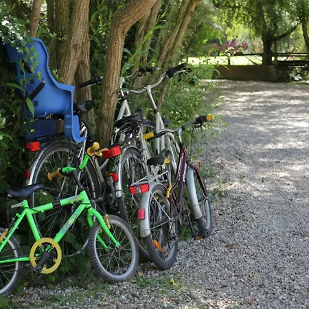 Charming With Swimming Pool In