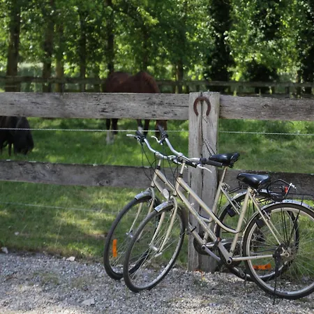 Charming With Swimming Pool In Chalet