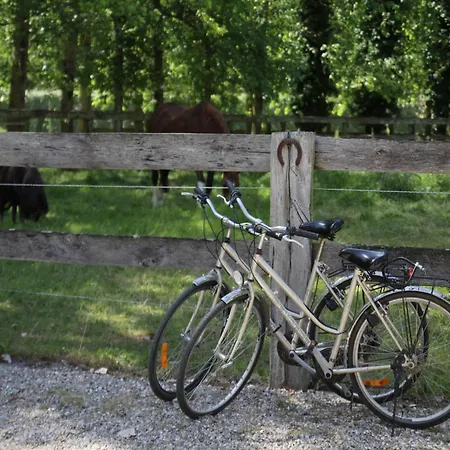 Charming With Swimming Pool In Chalet Quend