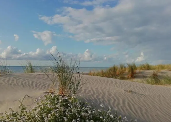 Charming With Swimming Pool In Quend