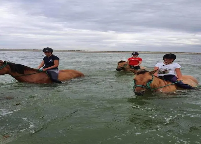 Charming With Swimming Pool In Chalet