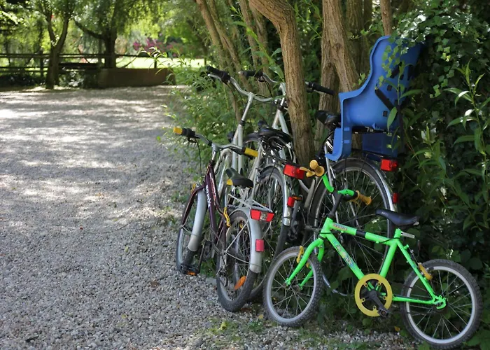 Charming With Swimming Pool In Chalet *